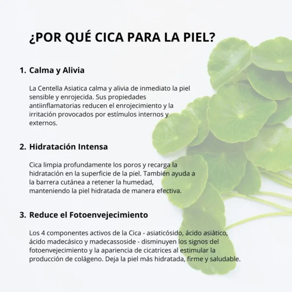 Mixsoon Esencia - Soondy Centella Asiatica Essence 100ml - Imagen 5