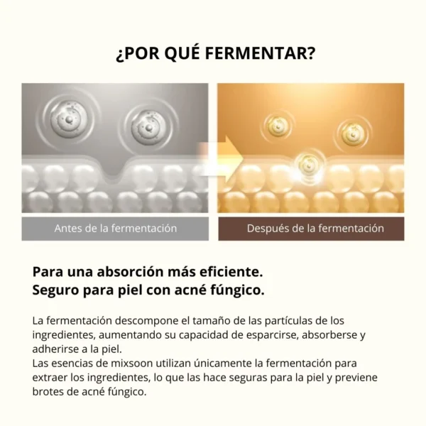 Mixsoon Crema -  Bean Cream 50ml - Imagen 5