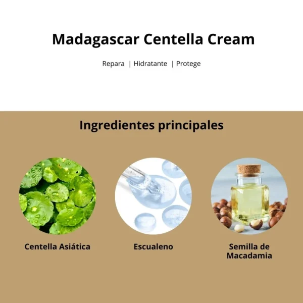 Crema SKIN1004 “Madagascar Centella Cream” 75ML - Imagen 5